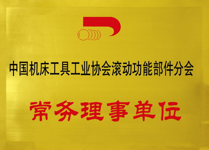 2-1-中国机床工具工业协会滚动功能部件分会常务理事单位.jpg